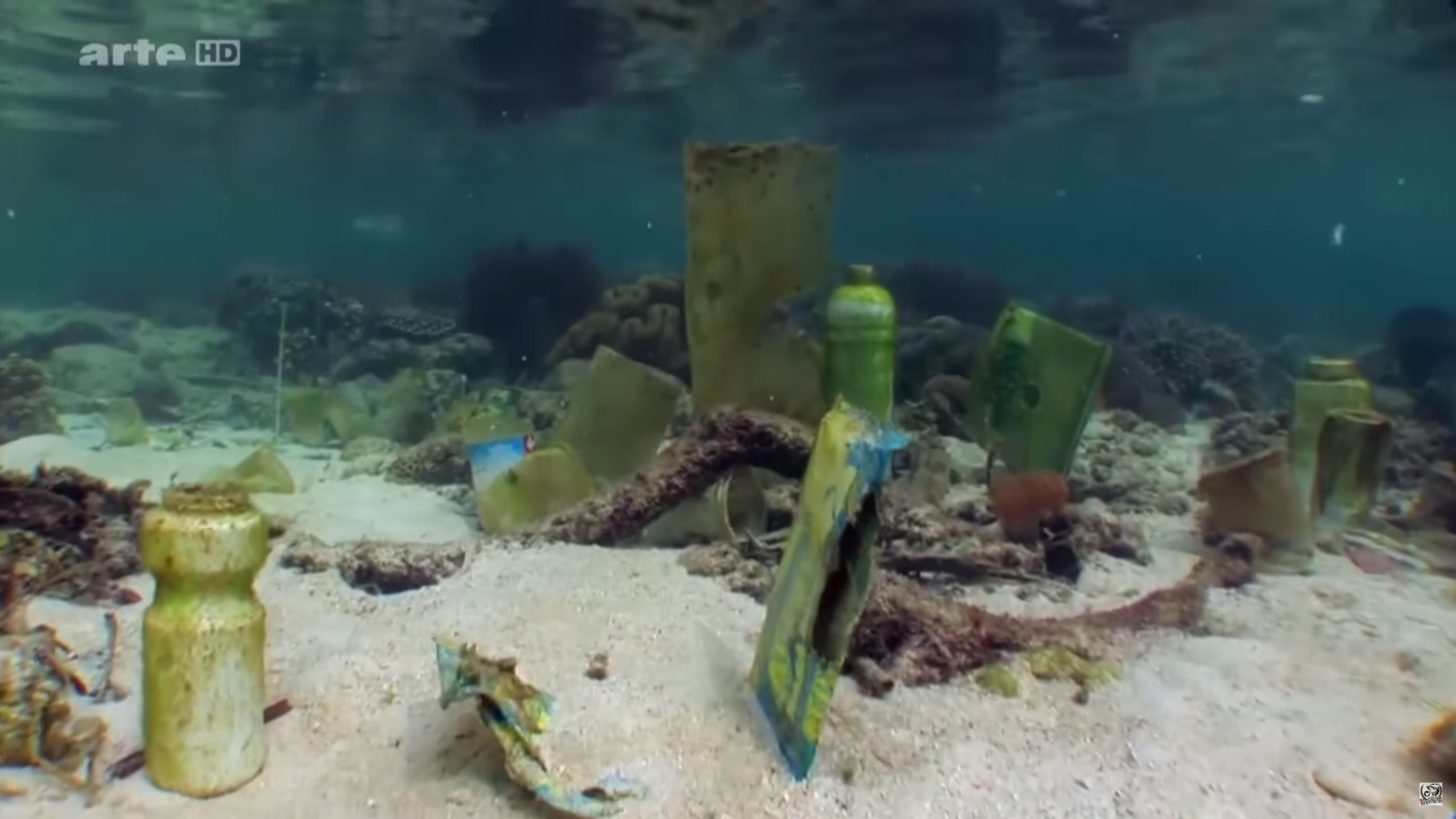 Mikroplastik im Meer